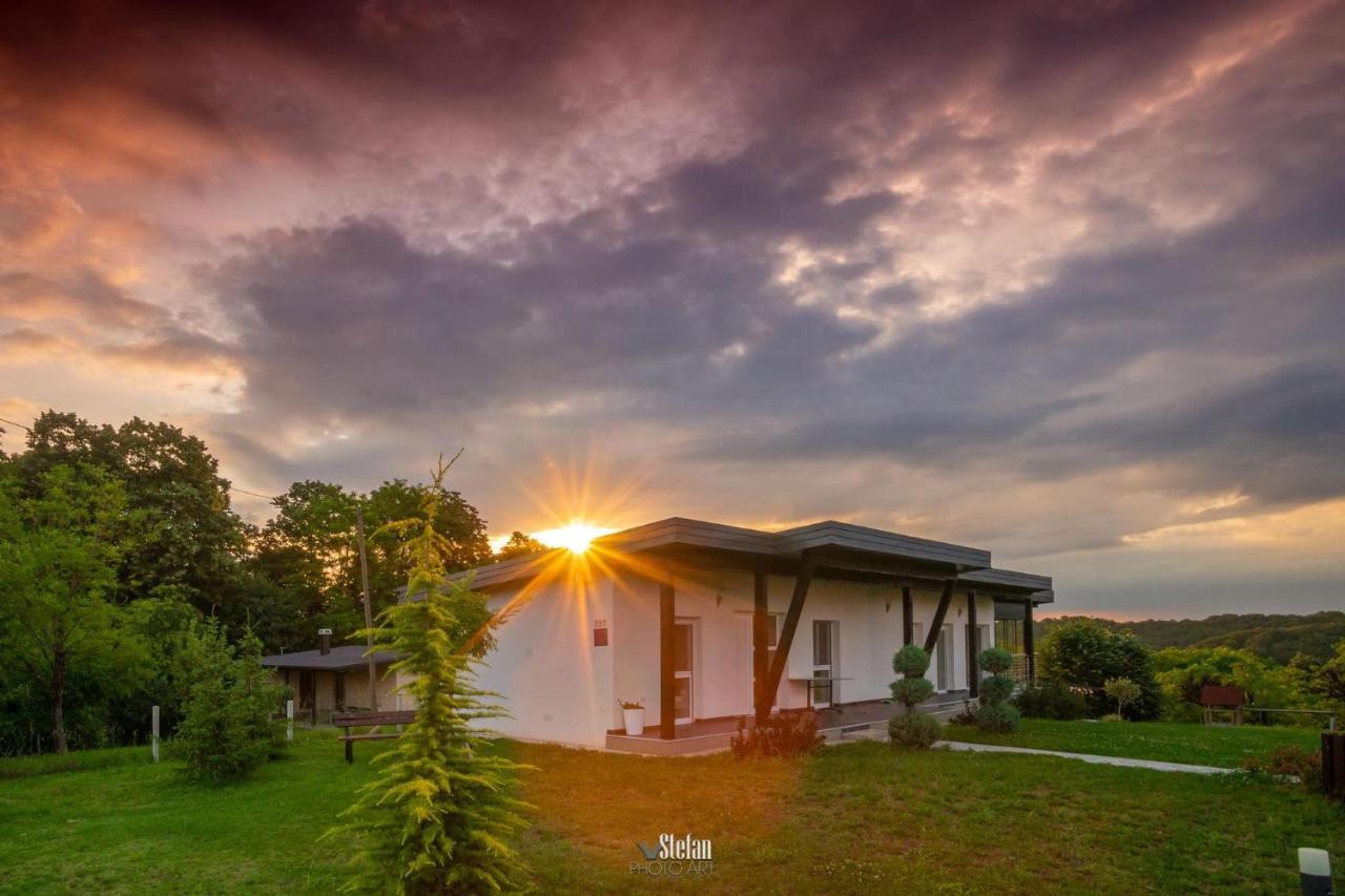 Kuce Za Odmor -Japin Breg Villa Thurdevac Luaran gambar