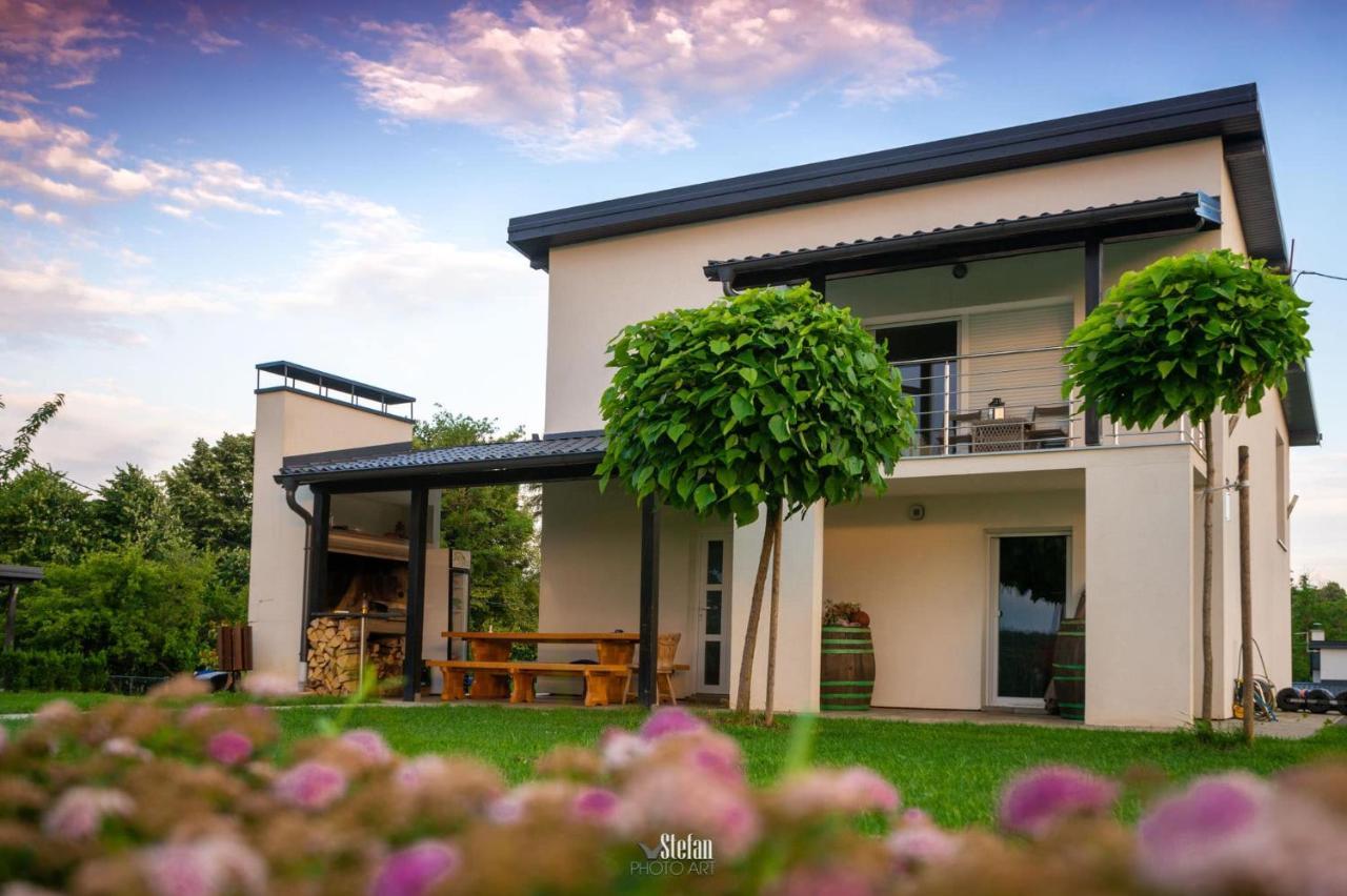 Kuce Za Odmor -Japin Breg Villa Thurdevac Luaran gambar