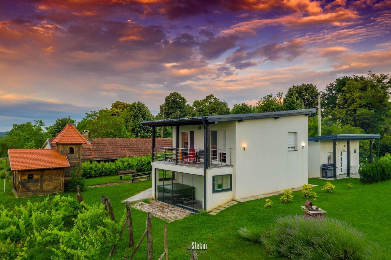 Kuce Za Odmor -Japin Breg Villa Thurdevac Luaran gambar
