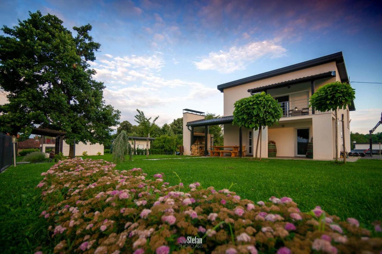 Kuce Za Odmor -Japin Breg Villa Thurdevac Luaran gambar