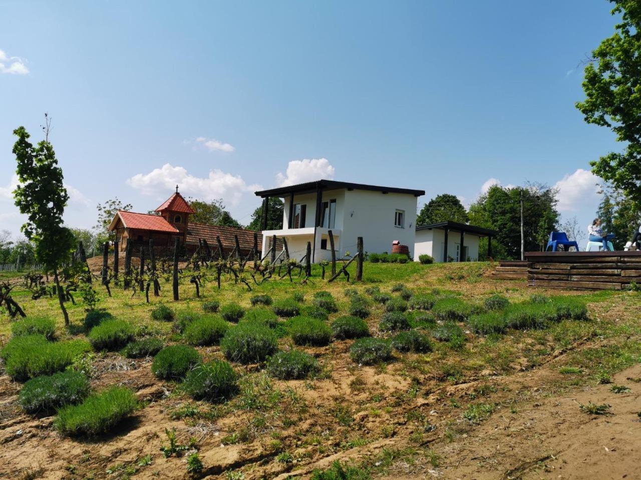 Kuce Za Odmor -Japin Breg Villa Thurdevac Luaran gambar